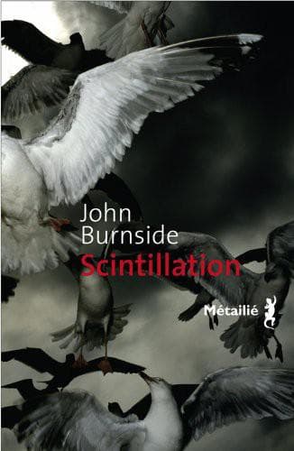 Couverture de « Scintillation »