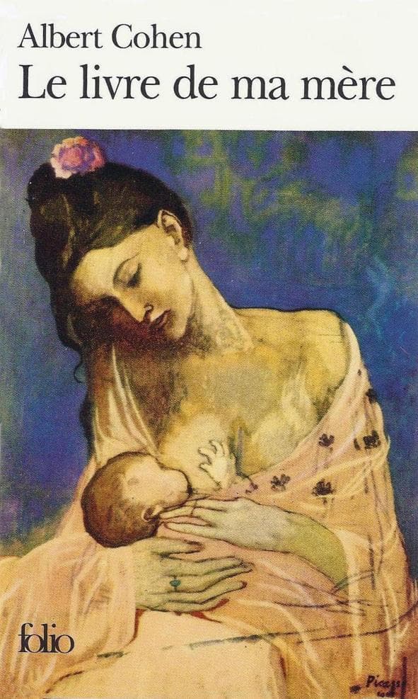 Couverture de « Le Livre De Ma Mère »