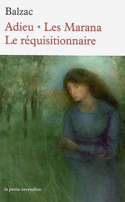 Couverture de « Adieu »