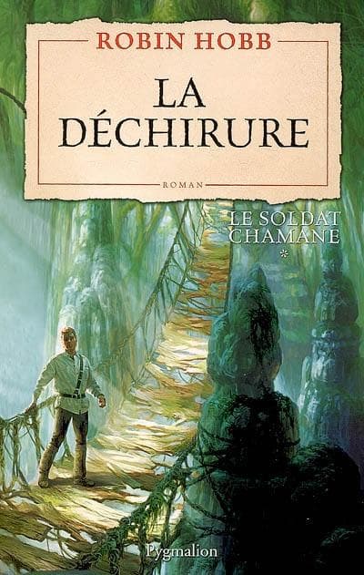 Couverture de « La Déchirure »