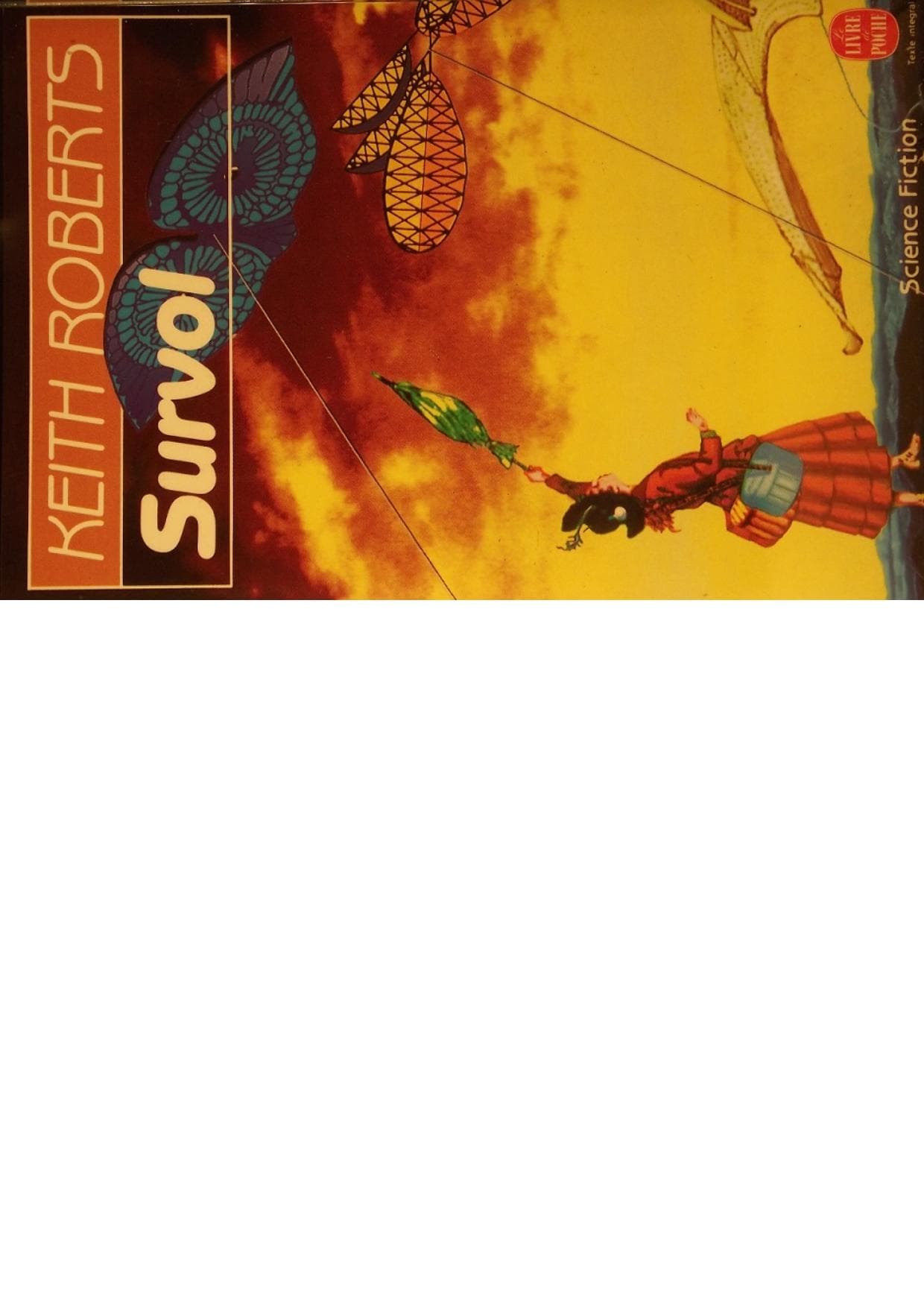 Couverture de « Survol »