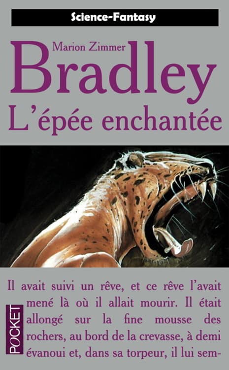 Couverture de « L'épée enchantée »