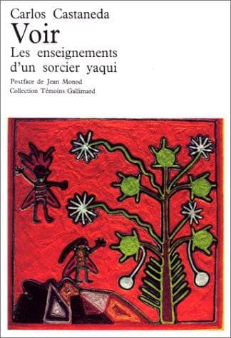 Couverture de « Voir »