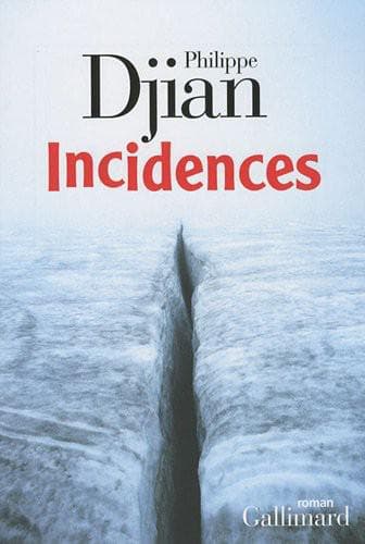 Couverture de « Incidences »