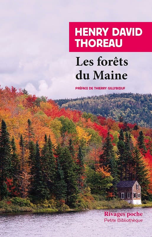 Couverture de « Les Forêts du Maine »