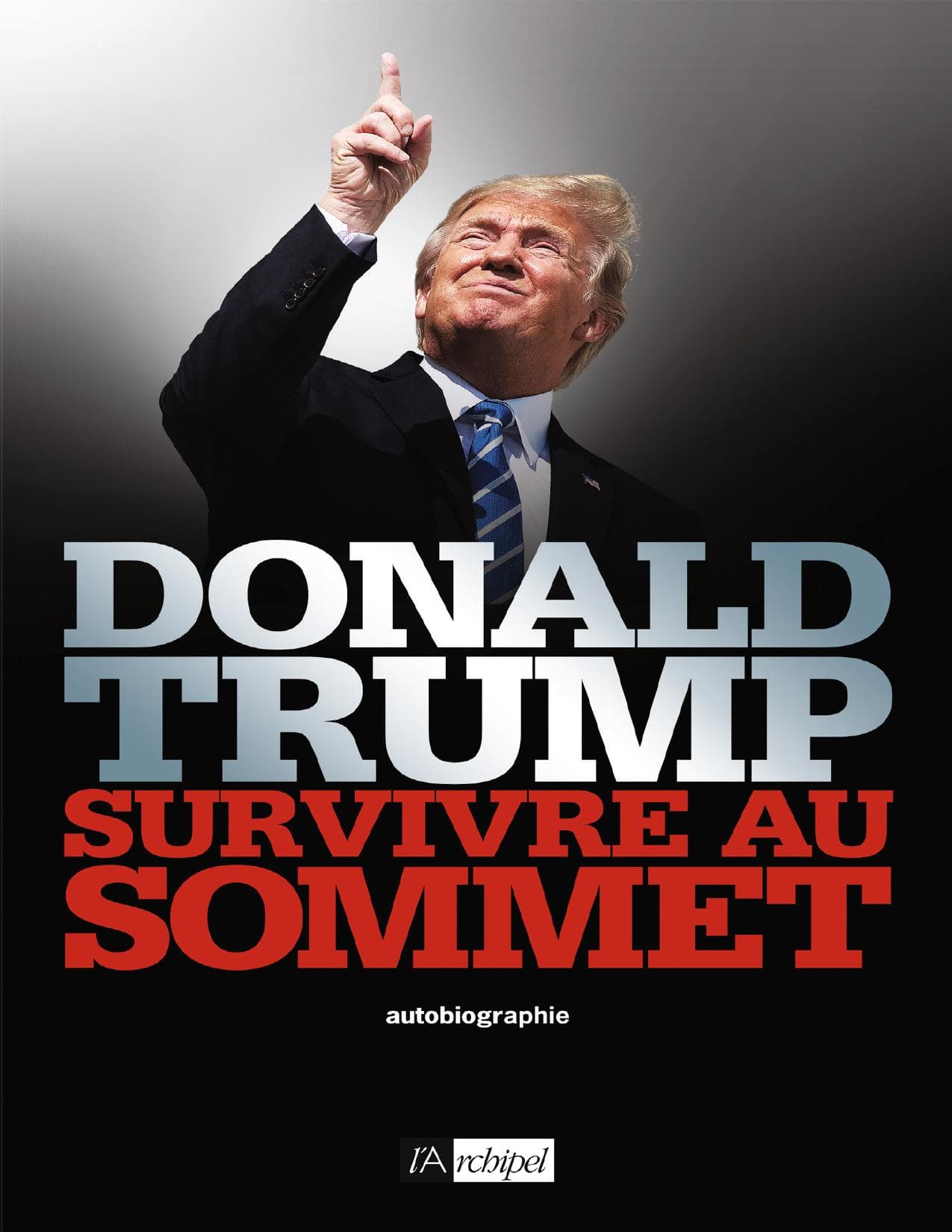 Couverture de « Survivre au sommet »