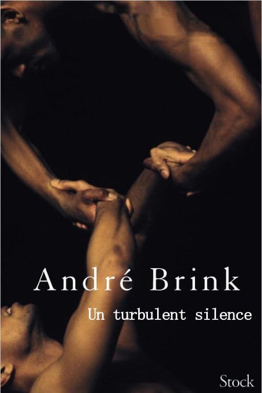 Couverture de « Un turbulent silence »