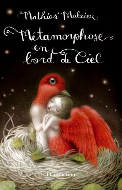 Couverture de « Métamorphose en bord de ciel »