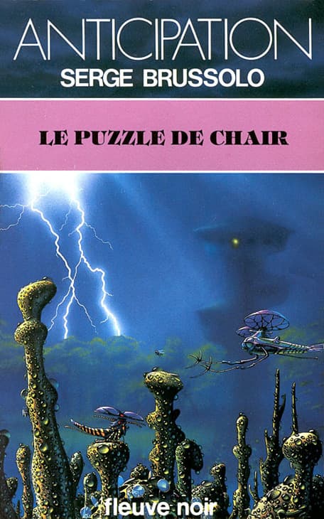 Couverture de « Le Puzzle de Chair »