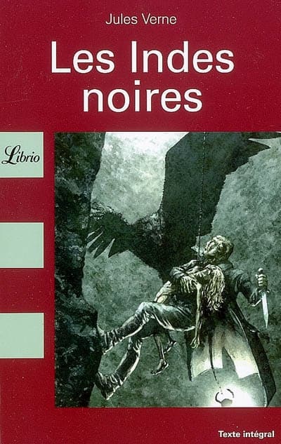 Couverture de « Les Indes noires »