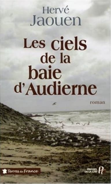 Couverture de « Les ciels de la baie d'Audierne »