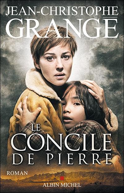 Couverture de « Le concile de pierre »