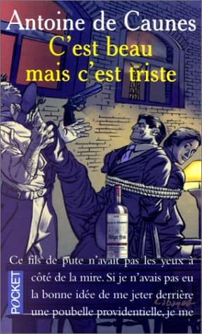Couverture de « C'est beau mais c'est triste »