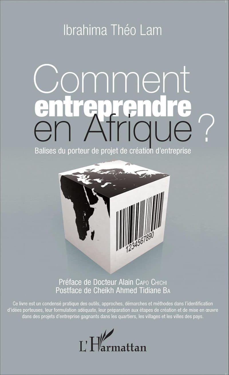 Couverture de « Comment entreprendre en Afrique ? »