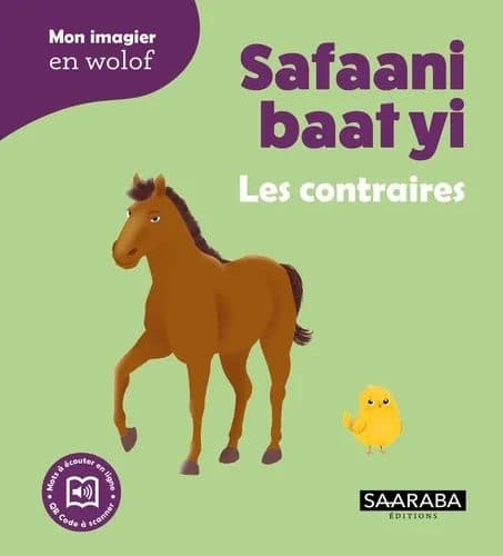 Couverture de « Safaani baat yi »