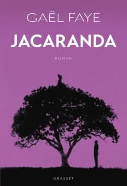 Couverture de « Jacaranda »