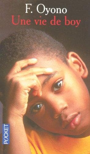 Couverture de « UNE VIE DE BOY »