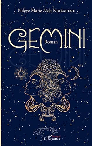 Couverture de « Gemini »