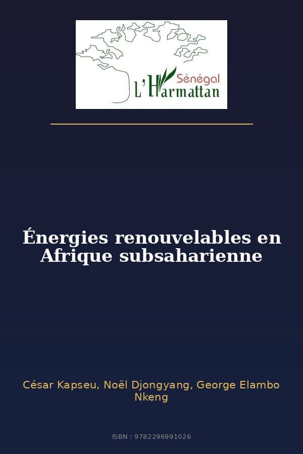 Couverture de « Énergies renouvelables en Afrique subsaharienne »