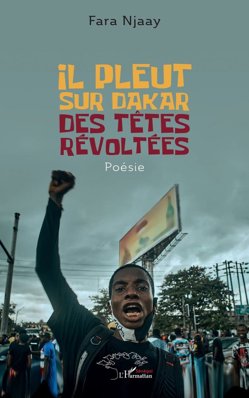 Couverture de « IL PLEUT SUR DAKAR DES TETES REVOLTEES »