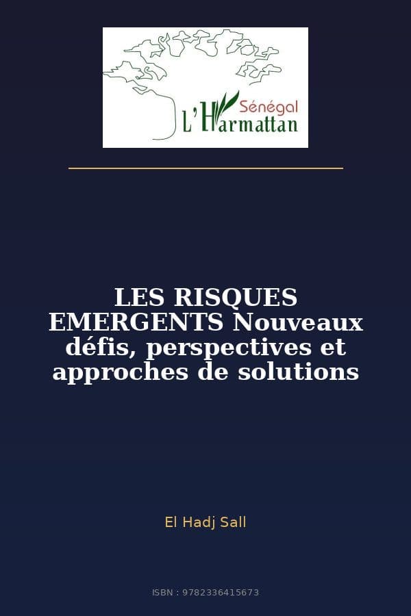 Couverture de « LES RISQUES EMERGENTS Nouveaux défis, perspectives et approches de solutions »