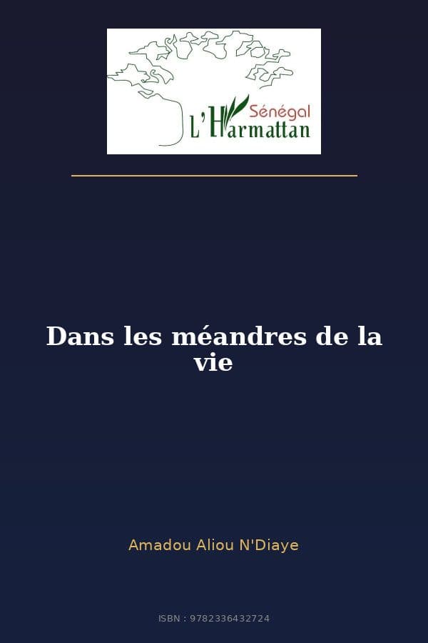 Couverture de « Dans les méandres de la vie »
