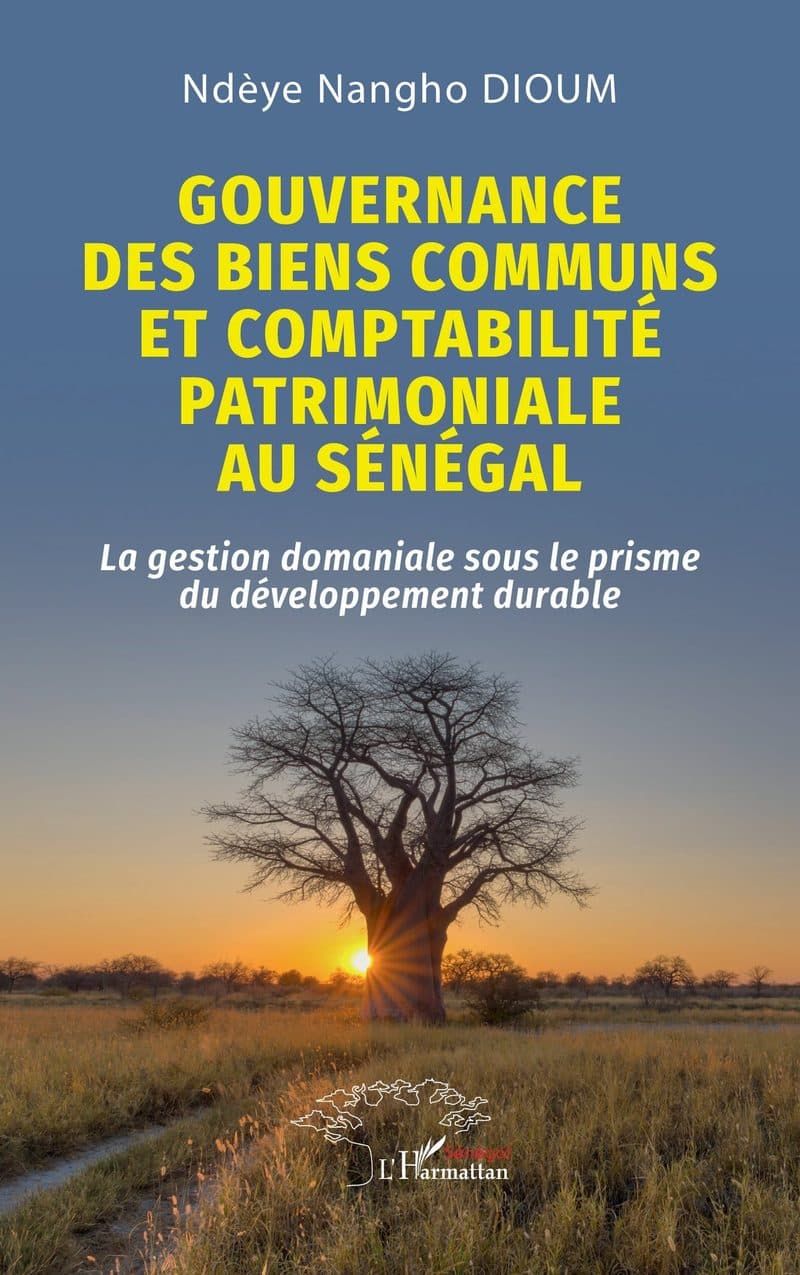 Couverture de « GOUVERNANCE DES BIENS COMMUNS ET COMPTABILITE PATRIMONIALE AU SENEGAL »