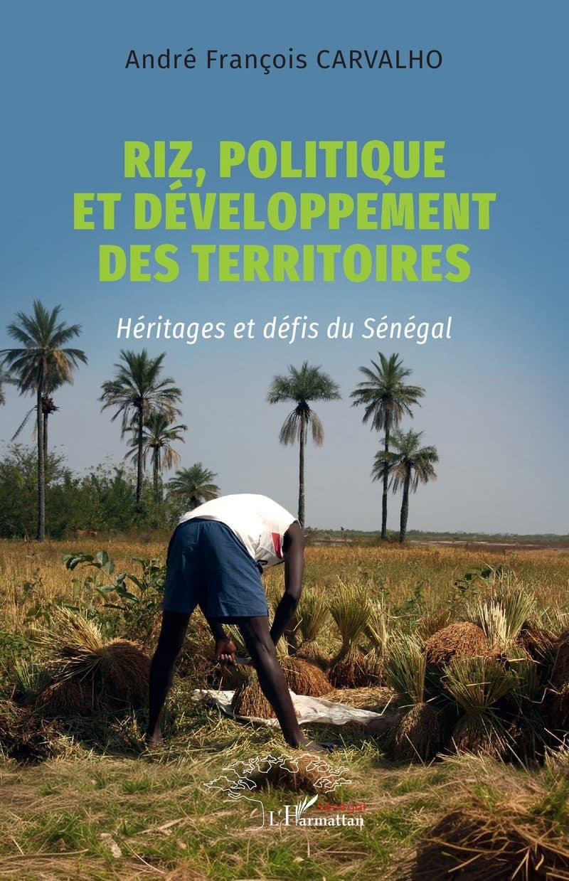 Couverture de « RIZ POLITIQUE ET DEVELOPPEMENT DES TERRITOIRES »