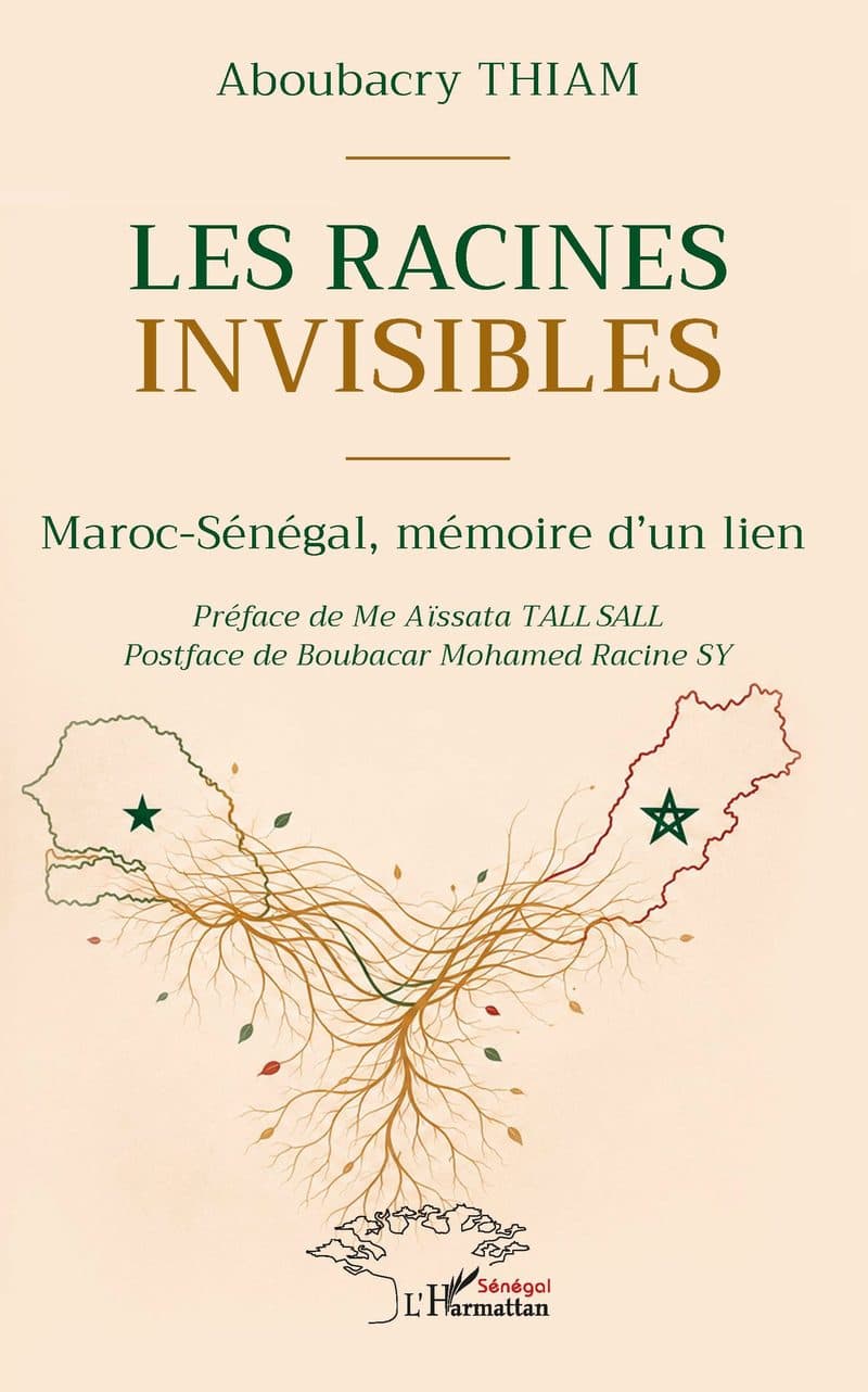 Couverture de « LES RACINES INVISIBLES »