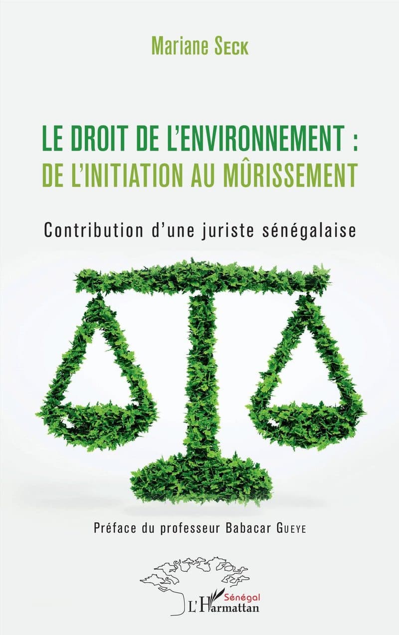 Couverture de « Le droit de l'environnement : de l'initiation au mûrissement »