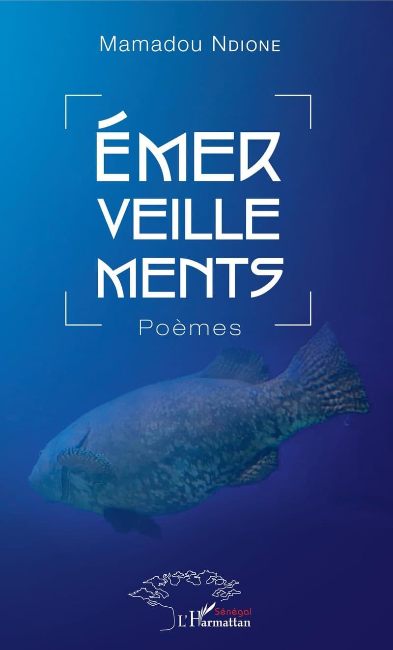 Couverture de « Émerveillements »