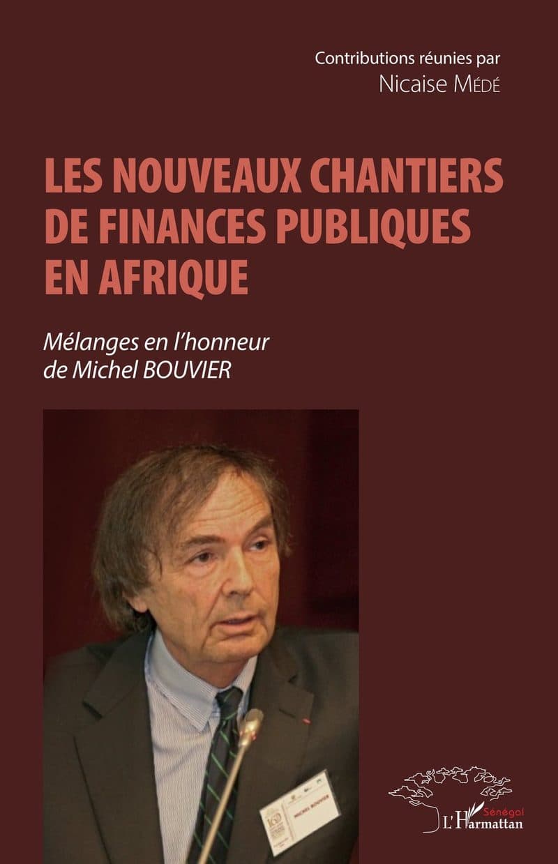Couverture de « Les nouveaux chantiers de finances publiques en Afrique »