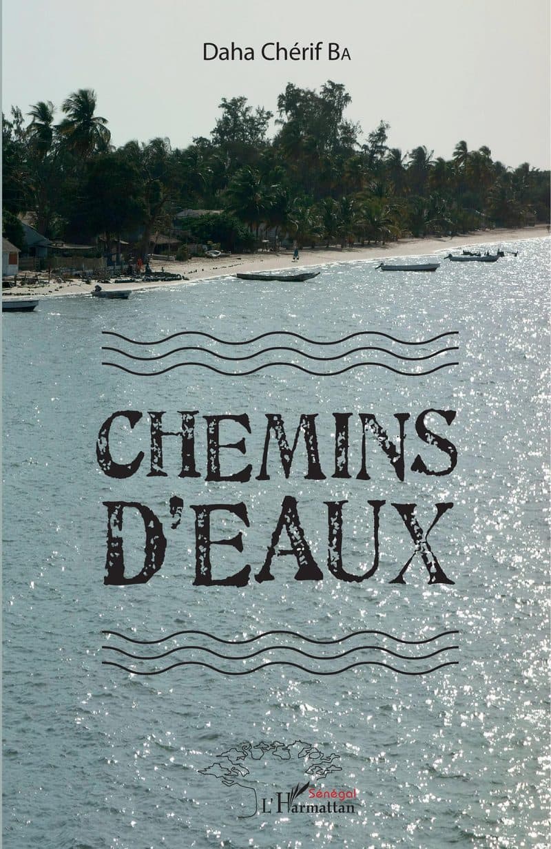 Couverture de « Chemins d'eaux »