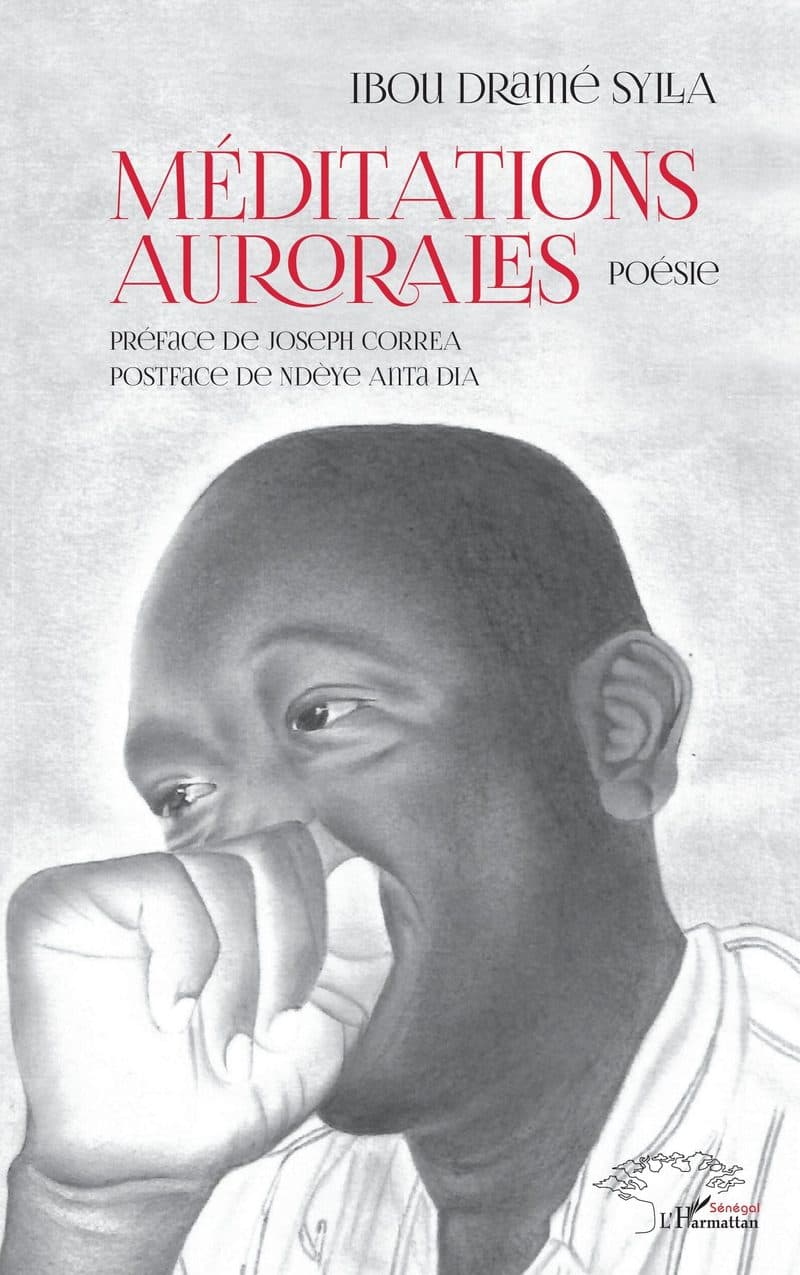 Couverture de « Méditations aurorales. Poésie »