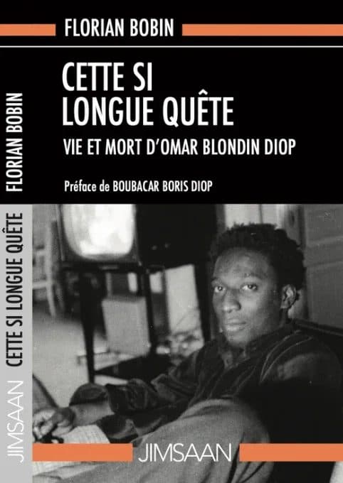 Couverture de « CETTE SI LONGUE QUETE »